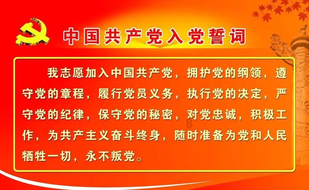 狗狗物品记忆卡