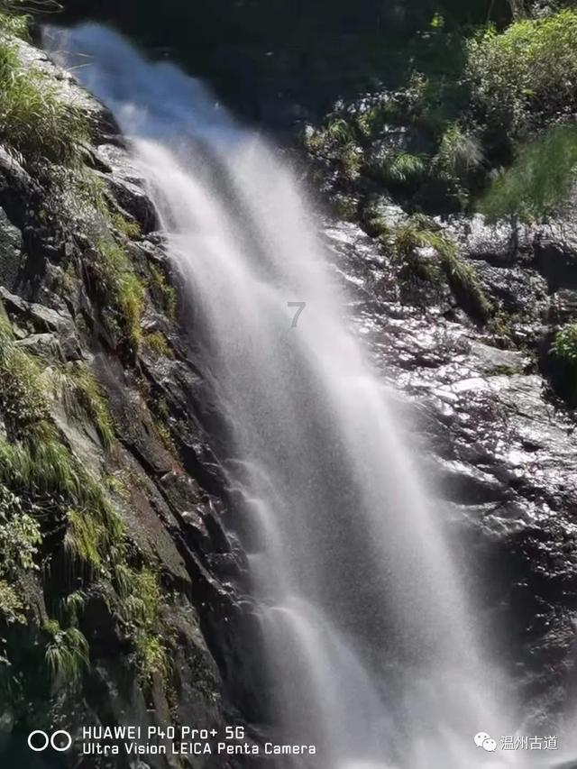 你能逃离此地吗